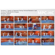 World Taekwondo Training Program Volume 11 by Ireno Fargas World Taekwondo Training Program Volume 11 by Ireno Fargas