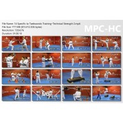 World Taekwondo Training Program Volume 14 by Ireno Fargas World Taekwondo Training Program Volume 14 by Ireno Fargas