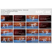 World Taekwondo Training Program Volume 15 by Ireno Fargas World Taekwondo Training Program Volume 15 by Ireno Fargas