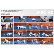 World Taekwondo Training Program Volume 6 by Ireno Fargas