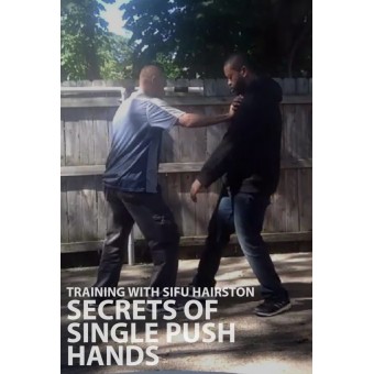Secrets of Single Push Hands by Glenn Hairston