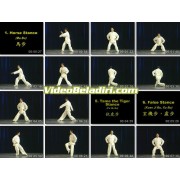 Tai Chi Chuan Classical Yang Style-Dr.Yang, Jwing-Ming
