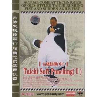 Taichi Soft Punching 2-Yuan Zhanguo