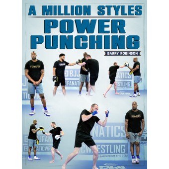 A Million Styles Power Punching by Barry Robinson
