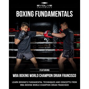 Boxing Fundamentals by Drian Francisco