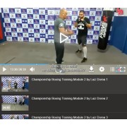 Championship Boxing Training Module 2 Intermediate Lessons by Luiz Carlos Dorea