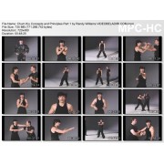Wing Chun Gung Fu Chum Kiu Concepts and Principles Part 1 by Randy Williams