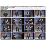 Wing Chun Gung Fu Close Range Techniques Part 2 Defense Against Straight Punches and Kicks by Randy Williams