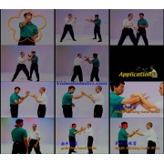 Ip Man Wing Chun Series 1-2: Siu Nim Tao-Benny Meng