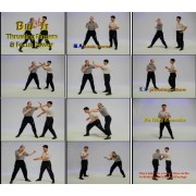 Ip Man Wing Chun Series 5-6: Biu Ji-Benny Meng