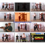 Ip Man Wing Chun Series 7: Shaolin Wooden Dummy-Benny Meng