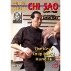 Mastering Ip Man Wing Chun Vol 12 Chi Sao Seminar Belgium 2016 by Samuel Kwok