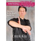 Mastering Ip Man Wing Chun Vol 2 Chum Kiu Seeking the Bridge by Samuel Kwok