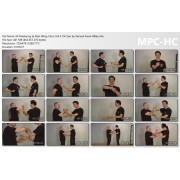 Mastering Ip Man Wing Chun Vol 4 Chi Sao by Samuel Kwok