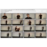 Mastering Ip Man Wing Chun Vol 6 Baat Cham Dao Butterfly Sword by Samuel Kwok