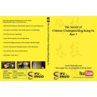 The Secret of Chinese Chain Punching Kung Fu-Sergio Iadarola