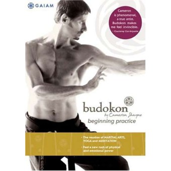 Budokon for Beginners-Cameron Shayne