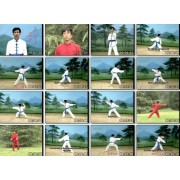 Bafa Quan-Eight Technique Quan-Wu Shijun Quan Feng Series