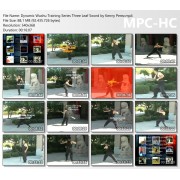 Dynamic Wushu Training Series Three Leaf Sword by Kenny Perez Dynamic Wushu Training Series Three Leaf Sword by Kenny Perez