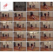 Ashtanga Yoga Intermediate Series-Richard Freeman