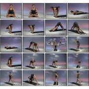Ashtanga Yoga The Primary Series-Richard Freeman
