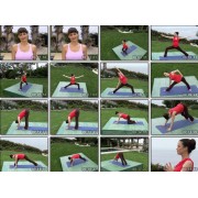 Prenatal and Postnatal Yoga-Elena Brower