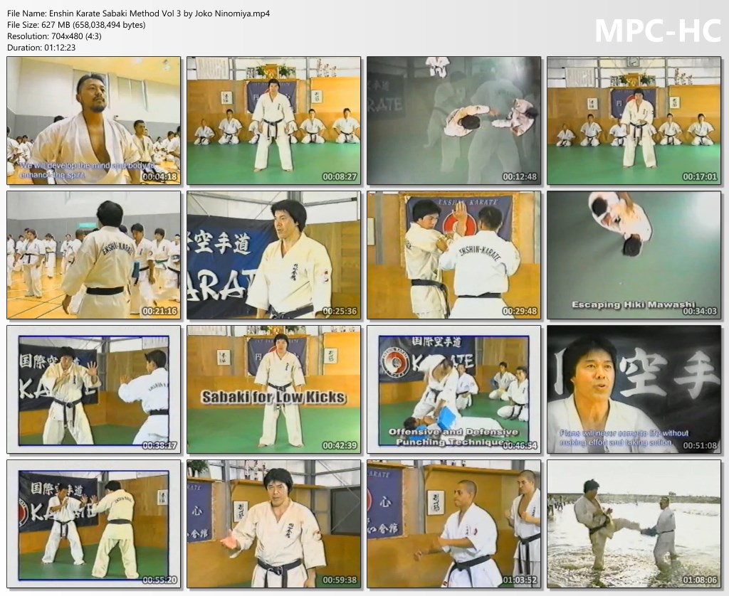 DownloadNow Enshin Karate Sabaki Method Vol 3 by Joko Ninomiya Karate